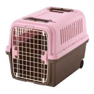 yiz b`F LsOL[ L CgsN y L[nEX P[X Ck pi Rei ybgObY ybgpi z