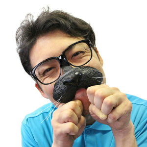 コスプレ 仮装 あにまる鼻メガネ ねこ(黒) 【 コスプレ 衣装 ハロウィン パーティーグッズ おもしろ 動物 アニマル おもしろメガネ めがね プチ仮装 面白い ハロウィン 衣装 変装グッズ 眼鏡