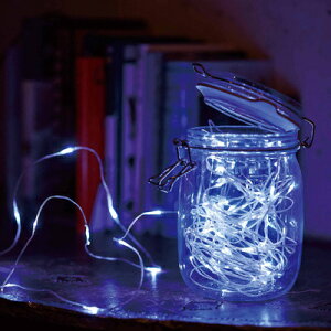 LEDtFA[Cg 100 zCg dr y O  C~l[VCg p[eB[ObY NX}Xp[eB[ h  fR[V NX}X hH d G d 