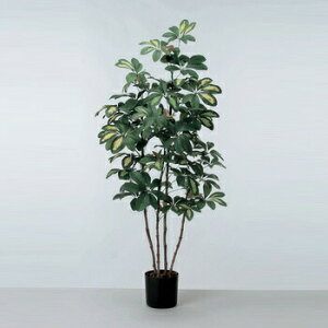 yiz xr[VFt|bg(100cm) A-50757 y CeAO[ lHϗtA tFCNO[ cf z