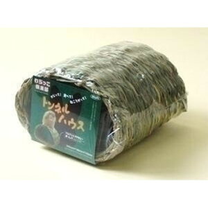 y glnEX y ybgpi ETM pi ybgObY e z