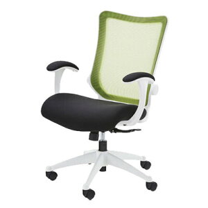 �I�t�B�X�`�F�A OFC-20GR �y �C�X �֎q �I�t�B�X�p�i �I�t�B�X�Ƌ� �z