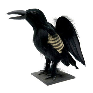 20cm{[NE y p[eB[ObY   Aj} u hbL tBMA | tBMA   A ObY  G Cxgpi p[