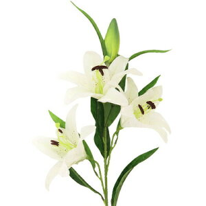 [2_Zbg] 105cmXv[S̉ zCg }(΂) lHϗtA ֑} y tFCNt[ CeAt[ A[gt[ z