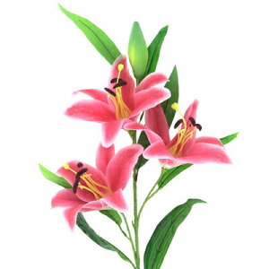 [2_Zbg] 105cmXv[S̉ sN ԑ}(΂) lHϗtA ֑} y A[gt[ tFCNt[ CeAt[ z