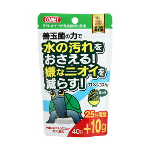 CgXC Ĵ͂ [ 40g y ybgObY T GT ঒ ybgpi a  ybgt[h z
