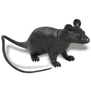 z[lY~ y p[eB[ObY   Aj} u hbL tBMA ǂ ObY A u  G C^Y  ObY W[