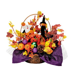 yiz nEBoPbg y I[ig G fR[V u IuWF  i CeA z