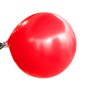 [2_Zbg] WCAgo[ 30h 75cm bh y SD p[eB[ObY ӂ Cxgpi rbOTCY p[eB[pi n i  z