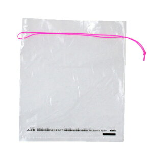 [100_Zbg] (SS) Fws y  Ղ Cxgpi qǂ ii  CxgObY  pi čՂ z