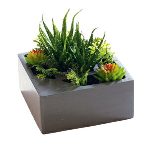 yiz tFCNO[ G} A/v^[ MP-107 y CeAO[ lHϗtA z