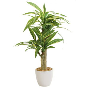 tFCNO[ G} hZic[ 72cm y lHϗtA R CeAO[ K̖ L z