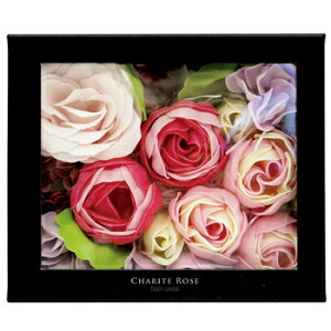 [4_Zbg] Ve[YoXy^ OX[Y y oXpi Cpi t[y^ Mtg CObY v[g  z