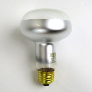 [2_Zbg] eEpv TO[^Cg X|bgv 100W y ybgObY ঒  ybgpi pi z