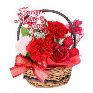 yiz Thanks Mother's DayI̓ vU[uht[AWg PV-1201 y CeA t[Mtg 蕨 v[g MtgZbg  ͂Ȃ ̓Mtg z