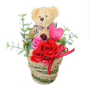 yiz Thanks Mother's DayI̓ vU[uht[AWg PV-1202 y ̓Mtg t[Mtg  v[g 蕨 MtgZbg CeA ͂Ȃ z
