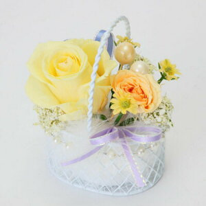 yiz Thanks Mother's DayI̓ vU[uht[AWg PV-1206 y ͂Ȃ  t[Mtg 蕨 v[g CeA MtgZbg ̓Mtg z