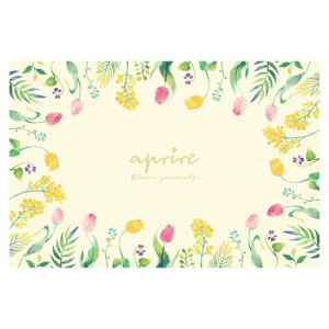 yiz CAPTAIN STAG(LveX^bO) Av[ \tgNbVW[V[g 90×60cm (OE) UT-1014 y 䏊pi Lb`pi AEghApi Lvpi W[pi sNj