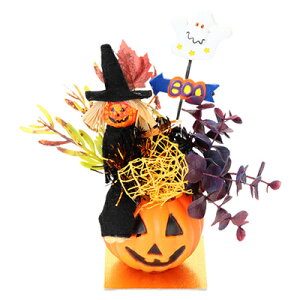 yiz HW-1550 nEBpvL|bg y i CeA IuWF I[ig u G  fR[V z