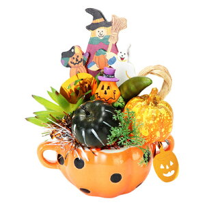 yiz HW-1558 pvL|bg y u nEB IuWF  CeA fR[V G i I[ig z