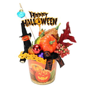 yiz HW-1562 nEBoPcAW y fR[V I[ig i CeA u IuWF G  z