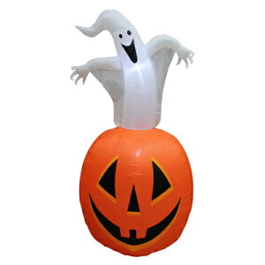 yiz 180cm S[XgpvLGA[fBXvC y GAu[ GAo[ i fR[V Ct[^u  nEB GA[u[ CeA G z