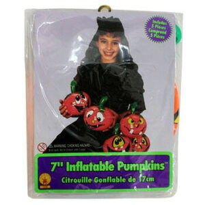 18cm(7h)Ct[^upvL(5) y CeA G GA[u[ GAo[ nEB  GAu[ i fR[V z