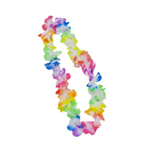 RXv  [2_Zbg] nCAԏ(t[C) y t_X t_T[ lp p RX`[ ] `ߑ p[eB[ObY ߑ fB[X nEB z