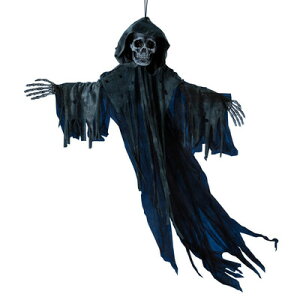 [2_Zbg] 160cmnMO[p[M ubN y nEB z[fBXvC ݂ [ nMOXPg | u ݕ z[nMO KCRc hN XJ ݂艺 