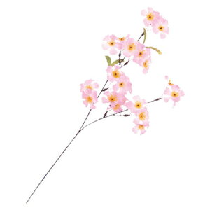 [6_Zbg] 60cmXvC VN y  Xܑi POP w t } TN fR[V   ̑i fBXvC Ԍ z