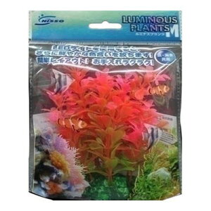 yiz [2_Zbg] jb\[ ~iXvc M-1 y ybgpi ANAEpi p pi ybgObY  z