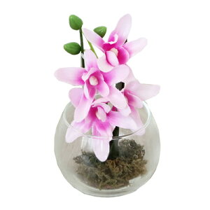 yiz OXA[g sNt[(ԕt) y IuWF  u CeAG z