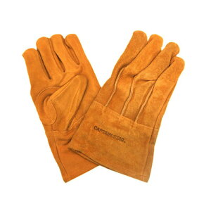 [2_Zbg] CAPTAIN STAG(LveX^bO) AEghA \tgU[O[u CG[ L UM-1912 y o[xL[pi ΋N ΂  W[pi BBQ AEghApi  L