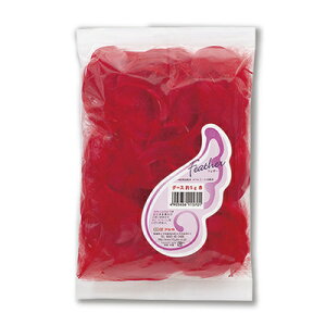 [2_Zbg] O[XtFU[ 5g  (H) y t[V[  p[eB[pi EFfBOp[eB[ Ԑ 񎟉 RtFbeB グObY Cxgpi o 