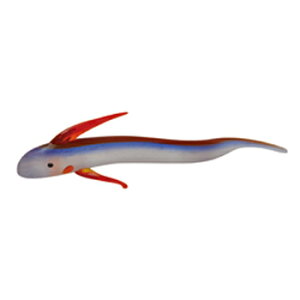 [5_Zbg] EOEmcJC y Ĉ CeAG u l`  ~j`A KX׍H  z