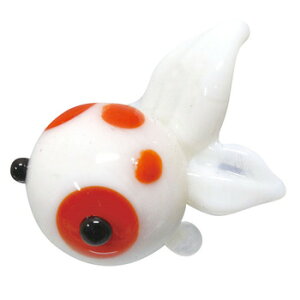 [2_Zbg] ԃu` y ~j`A u 񂬂 KX׍H l`  CeAG z