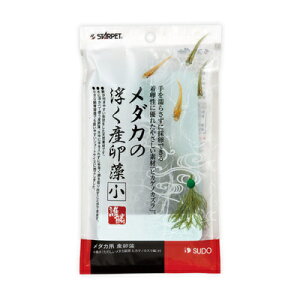 yiz [4_Zbg] ANAEpi _JY  y p V_A  pi Ypi ybgpi ybgObY z