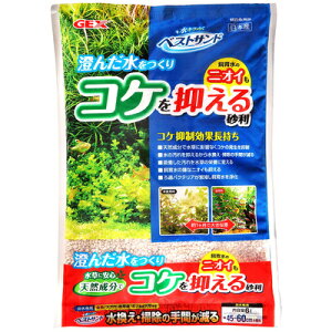 yiz [2_Zbg] xXgTh 6L y ybgpi  ANAEpi W ꏰ pi ꍻ ybgObY p z