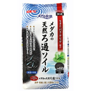 [2_Zbg] _Ji _JVR߃\C 2.5L y ꏰ ybgpi ybgObY pi ANAEpi ꍻ p z