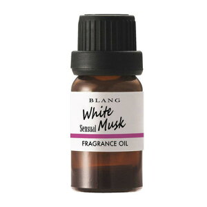 J[Cg uO fBt[U[ptOXIC zCgXNZVA L10013 y EԁEP~J F z