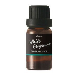 J[Cg [m fBt[U[p tOXIC zCgxKbg L10053 y F EԁEP~J z