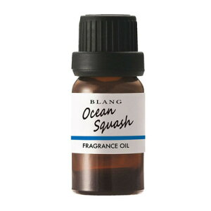 J[Cg uO fBt[U[ptOXIC I[VXJbV L10023 y EԁEP~J F z