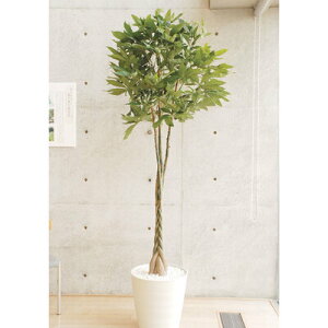【取寄品】 フェイクグリーン 光触媒 パキラ 220cm 【 人工観葉植物 消臭 大きい 抗菌 インテリアグリーン 】