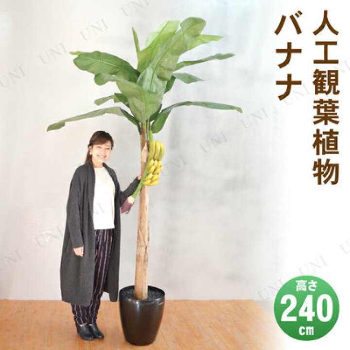 楽天市場】【取寄品】 フェイクグリーン 光触媒 バナナ 240cm 【 消臭 