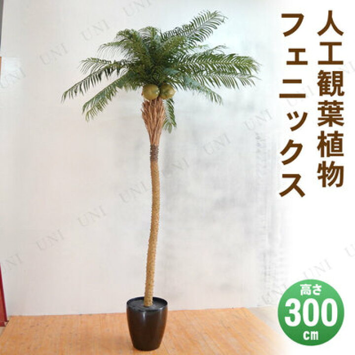楽天市場】【取寄品】 フェイクグリーン 光触媒 フェニックス 300cm