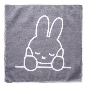 yiz Dick Bruna }CNt@Co[ӂ 30×30cm 3Zbg قÂ~btB[ y Lb`G Lb`pG Lb`pi 䏊pi VNpi ܂ z