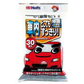 [2点セット] ホルツ 激落ち車内のウェットシート 30枚入 【 洗車用品 カー用品 クリーニング用品 ケア用品 メンテナンス用品 】