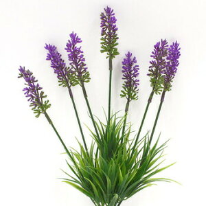 ԃx_[ p[v y ϗtA  ~jTCY A[gt[ lHϗtA ~jϗtA tFCNt[ CeAt[ z