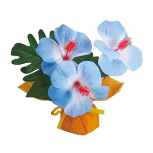 ~j~j|bgnCrXJX u[ y  fR[V POP fBXvC  Xܑi ̑i z