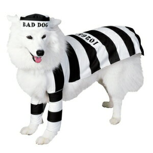 lhbO M y ybgpi  ybgRX`[  pi hbOEFA ybgObY Ck z